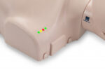 Prestan Adult First Aid Training Model with Metronome