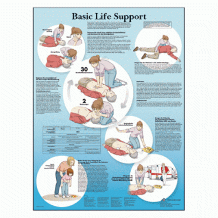 Χάρτης ανατομίας Basic Life Support