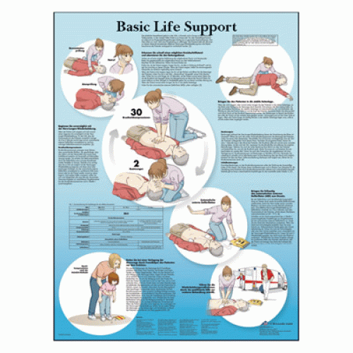 Χάρτης ανατομίας Basic Life Support Χάρτης ανατομίας Basic Life Support